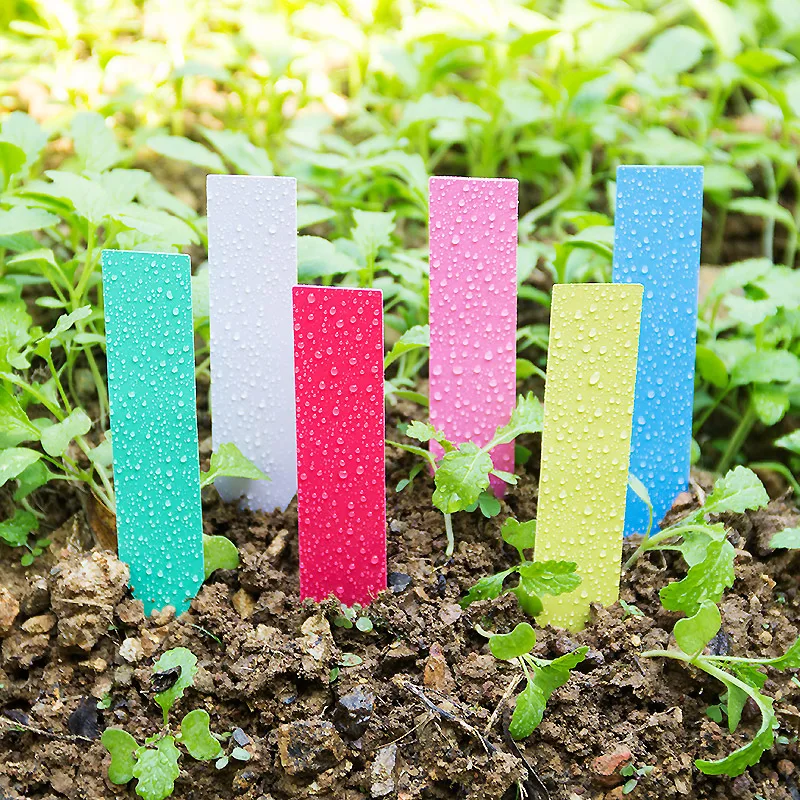 Garden Label Marker - 100Pcs Dikke 4Inch Plant Labels Herbruikbare