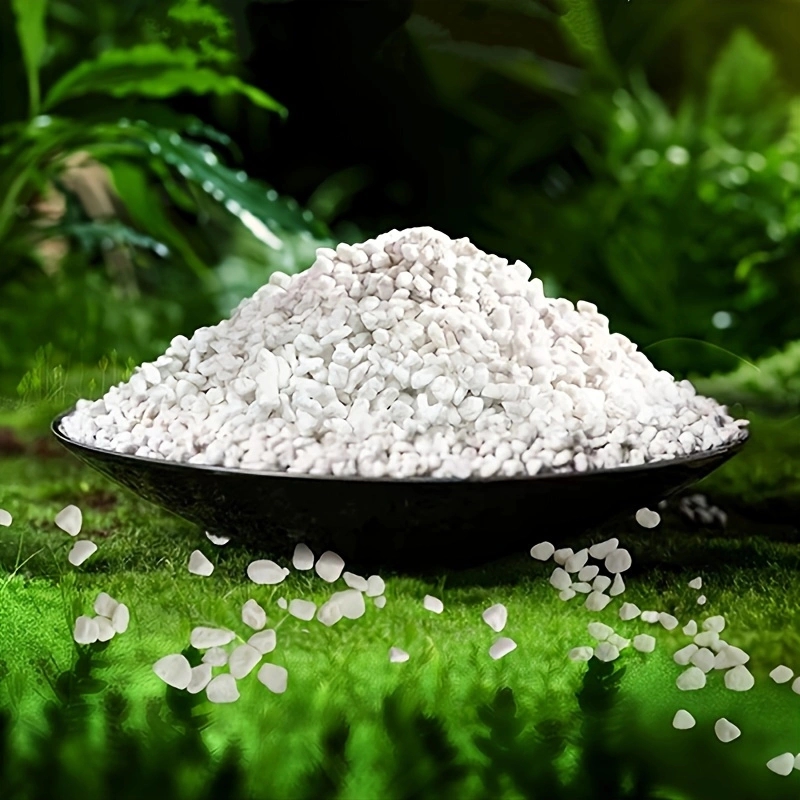 Horticulture Soil Perlite - 1 verpakking van 3-6 mm tuinbouwperlite