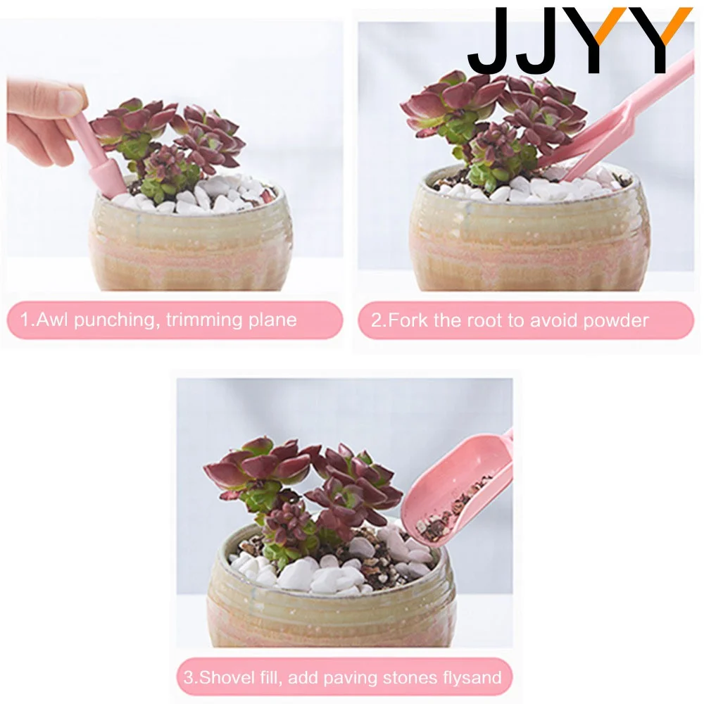 4-delige mini succulenten plan - Gardening Tools Set recensie en prijs