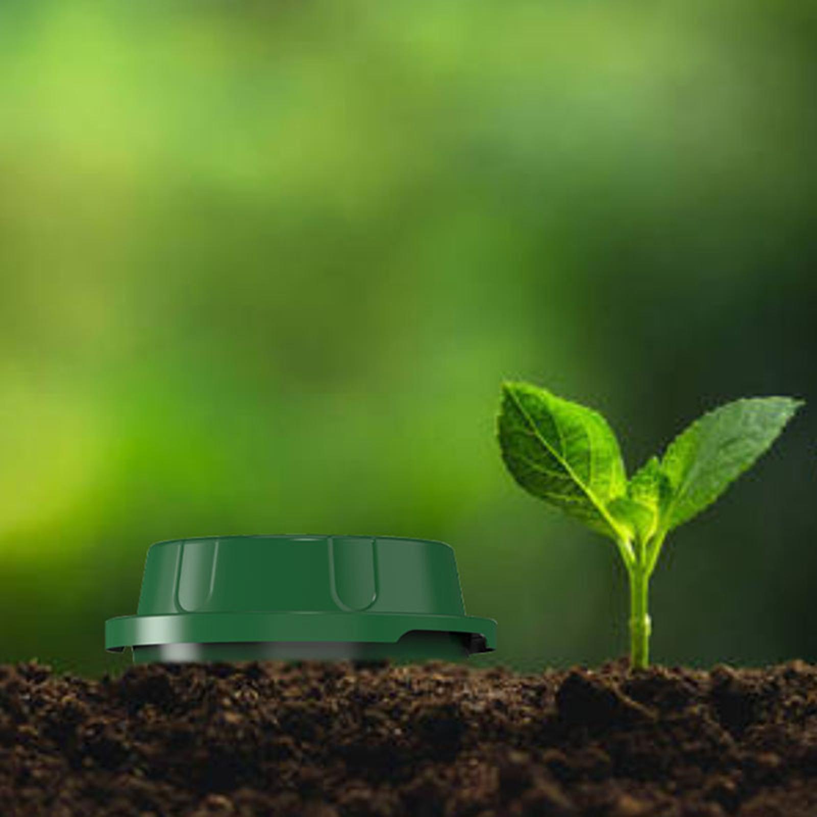 In de grond geplaatste wormenc - Compost Bin recensie en prijs
