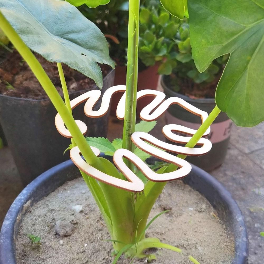1/2PCS Herbruikbare Schildpad  - Gardening Tools Wooden recensie en prijs