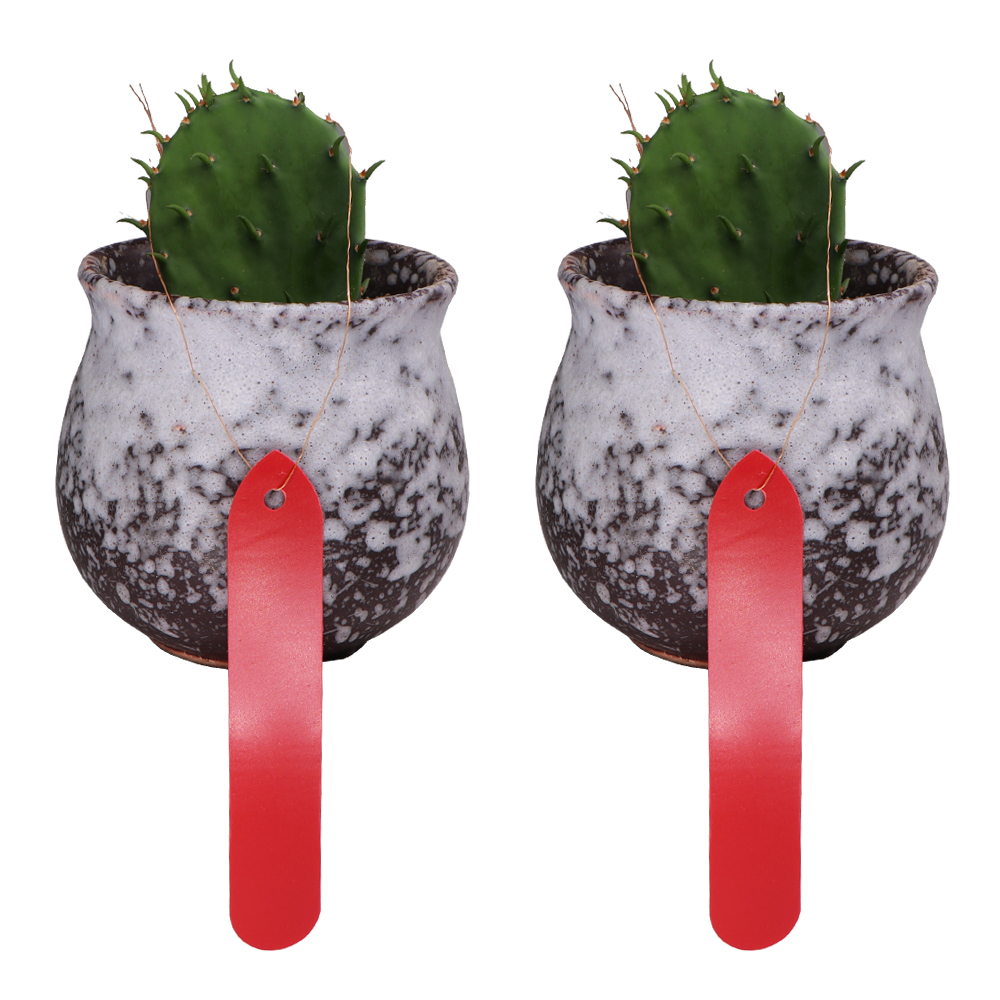 50 Stuks 1.8X10Cm Plant Tags M - Garden Label Marker recensie en prijs