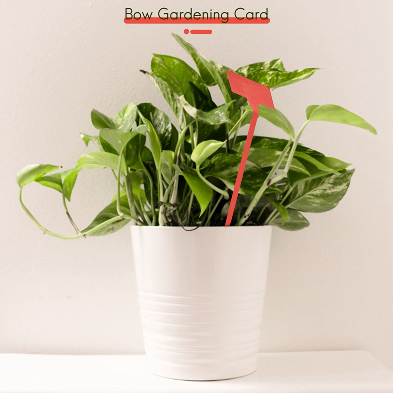 ABYP Tuinen Plantgereedschap 5 - Garden Label Marker recensie en prijs