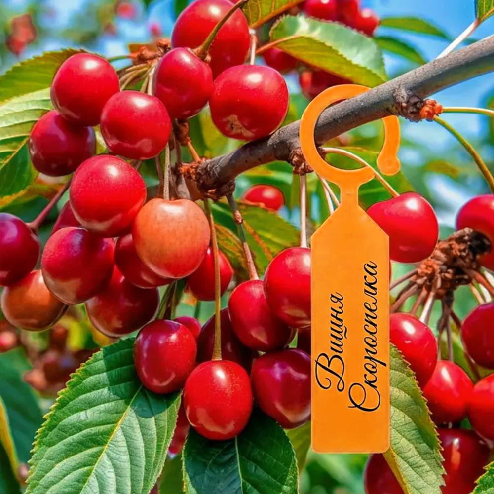 Tuinplantlabel Ringhaak Boomma - Garden Label Marker recensie en prijs