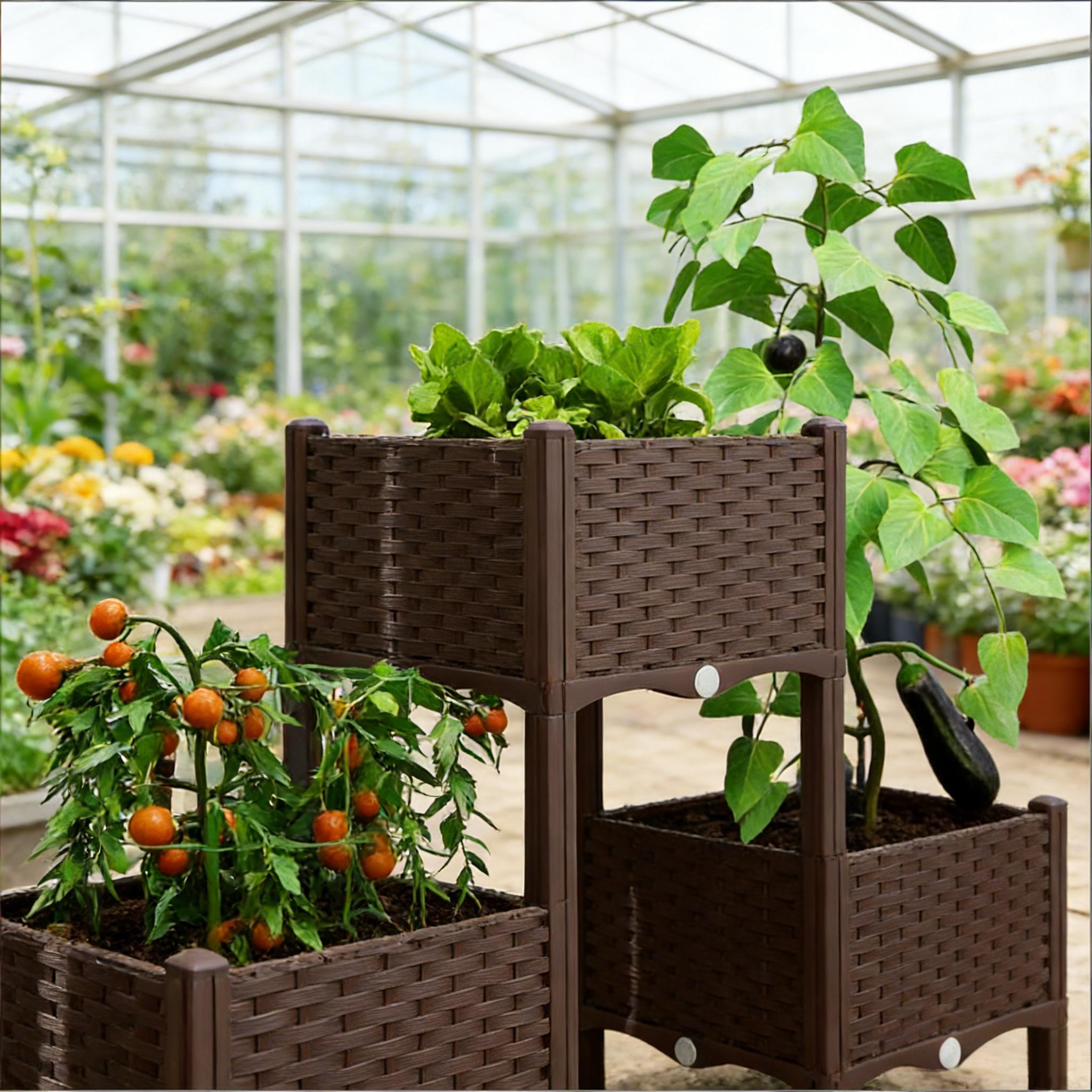 Verhoogde plantenbakken, verho - Raised Bed Planter Box recensie en prijs