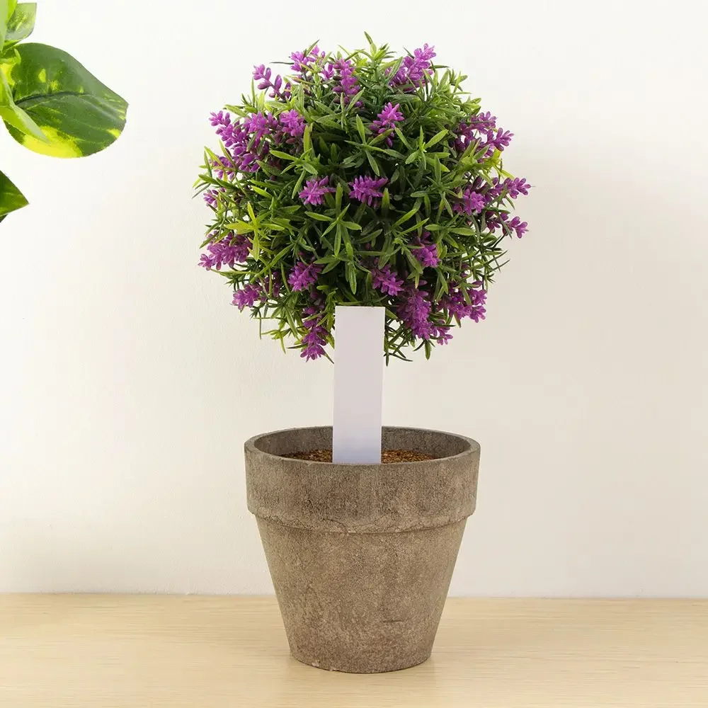 100 Stuks Herbruikbare Classif - Garden Label Marker recensie en prijs
